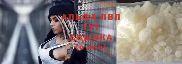 трава Аркадак